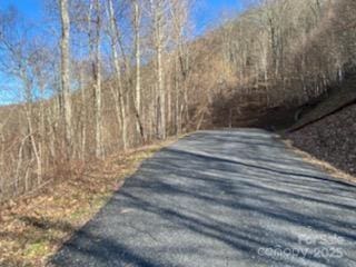 LOT22 Spring Rock Rd, Burnsville, NC 28714 - photo 18