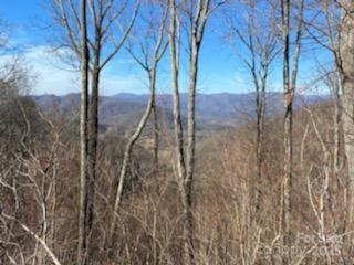 LOT22 Spring Rock Rd, Burnsville, NC 28714 - photo 19