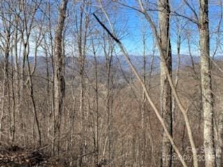 LOT22 Spring Rock Rd, Burnsville, NC 28714 - photo 20