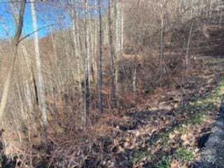 LOT22 Spring Rock Rd, Burnsville, NC 28714 - photo 21