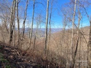 LOT22 Spring Rock Rd, Burnsville, NC 28714 - photo 22
