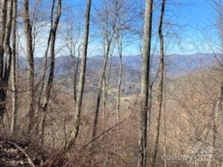 LOT22 Spring Rock Rd, Burnsville, NC 28714 - photo 23