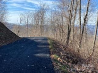 LOT22 Spring Rock Rd, Burnsville, NC 28714 - photo 24