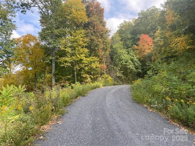 LOT22 Spring Rock Rd, Burnsville, NC 28714 - photo 25