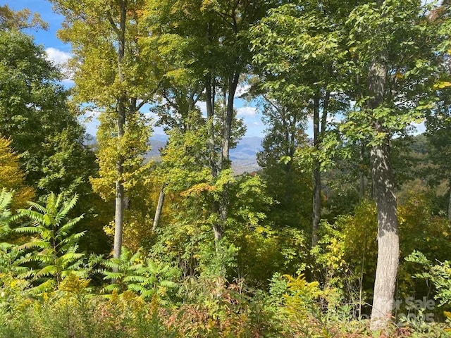 LOT22 Spring Rock Rd, Burnsville, NC 28714 - photo 27