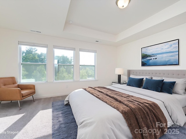 1206 Pebble Grove Dr, Clover, SC 29710 - bedroom featuring carpet flooring and a raised ceiling