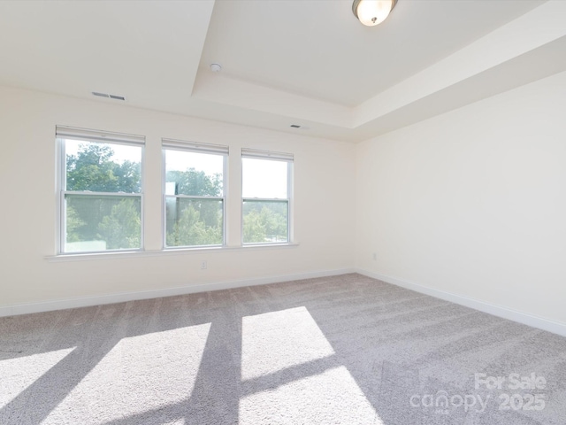 1206 Pebble Grove Dr, Clover, SC 29710 - unfurnished room featuring carpet floors and a tray ceiling
