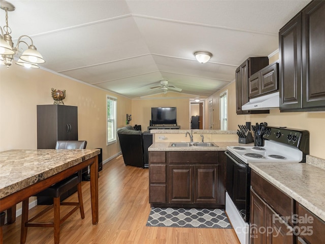 5 Shenandoah Rd, Asheville, NC 28805 - kitchen featuring white electric range oven, under cabinet range hood, light countertops, light wood-style flooring, and a peninsula