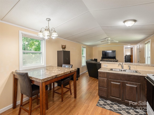 5 Shenandoah Rd, Asheville, NC 28805 - kitchen featuring light wood-style floors, lofted ceiling, light countertops, a chandelier, and ceiling fan