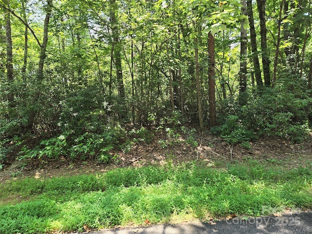 LOT50 Flynn Ct, Lake Lure, NC 28746 - photo 2