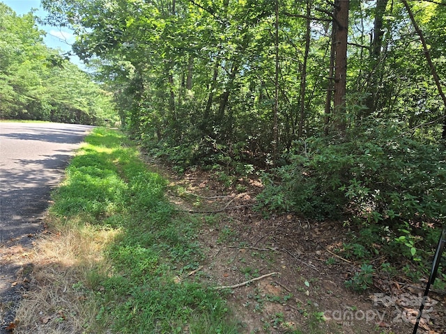 LOT50 Flynn Ct, Lake Lure, NC 28746 - photo 3