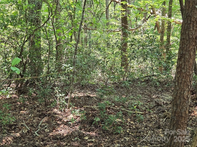 LOT50 Flynn Ct, Lake Lure, NC 28746 - photo 4
