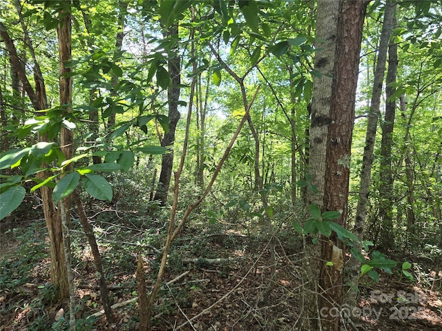LOT50 Flynn Ct, Lake Lure, NC 28746 - photo 5