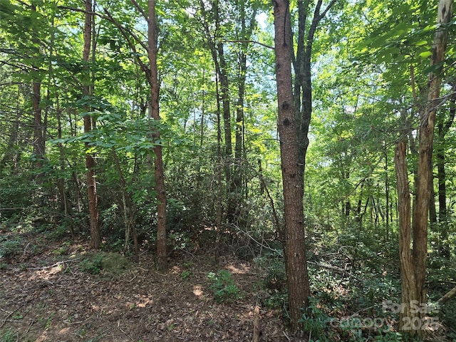 LOT50 Flynn Ct, Lake Lure, NC 28746 - photo 6