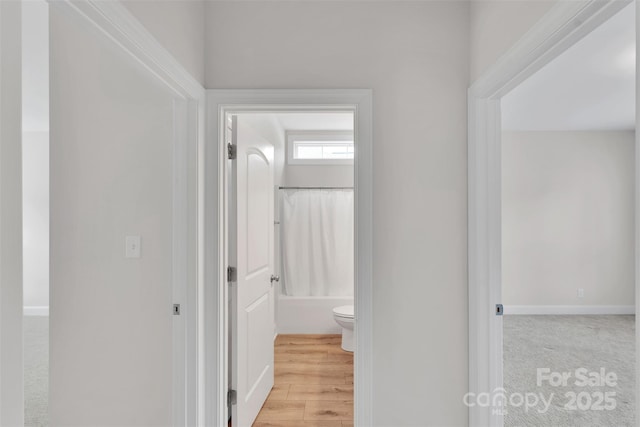 275 Dorothy Dr, China Grove, NC 28023 - photo 24