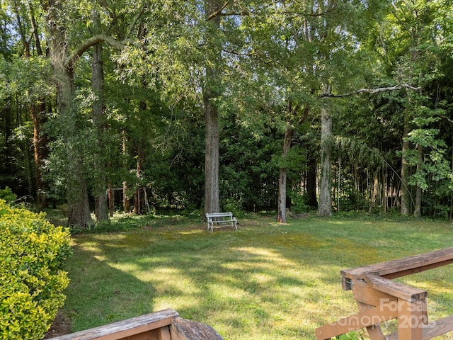 331 Elwood St, Kannapolis, NC 28081 - view of green lawn