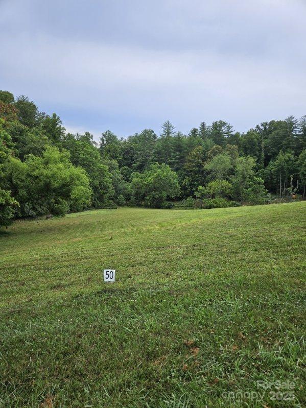 9999 Settlers Trl Unit 50, Mars Hill, NC 28754 - photo 2