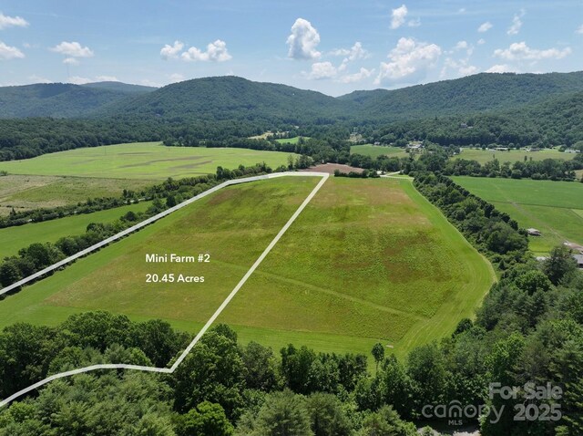 MINIFARM2TBD Coventry Dr, Brevard, NC 28712 - photo 3