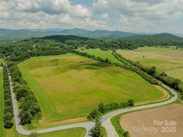 MINIFARM2TBD Coventry Dr, Brevard, NC 28712 - photo 11