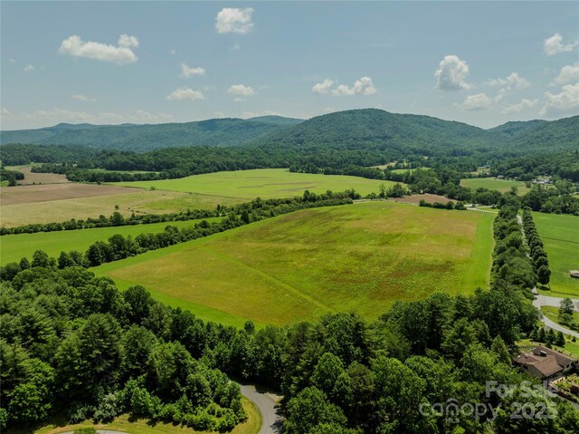 MINIFARM2TBD Coventry Dr, Brevard, NC 28712 - photo 12