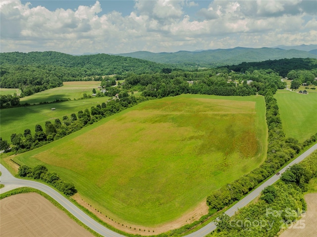 MINIFARM2TBD Coventry Dr, Brevard, NC 28712 - photo 10