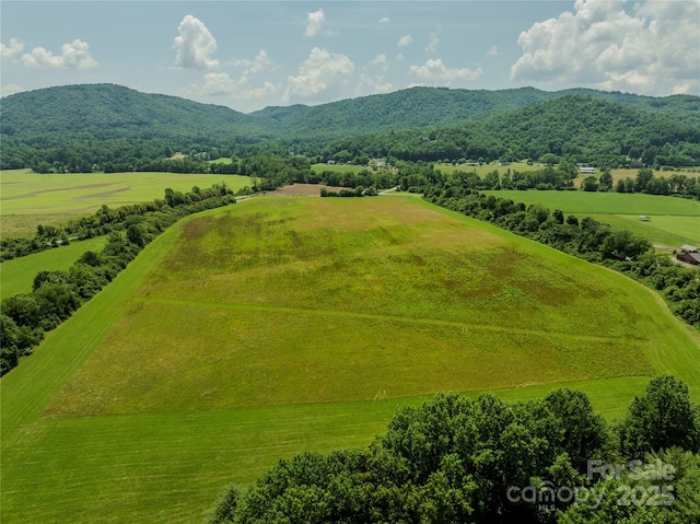 MINIFARM2TBD Coventry Dr, Brevard, NC 28712 - photo 13