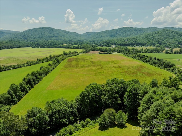 MINIFARM2TBD Coventry Dr, Brevard, NC 28712 - photo 14