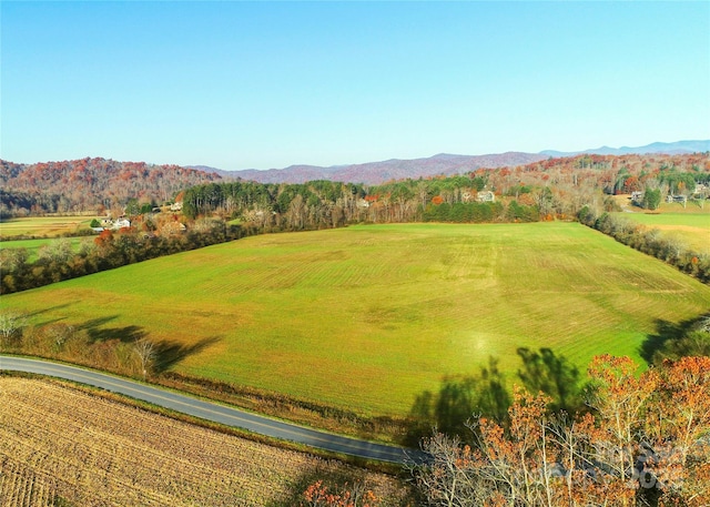MINIFARM2TBD Coventry Dr, Brevard, NC 28712 - photo 20