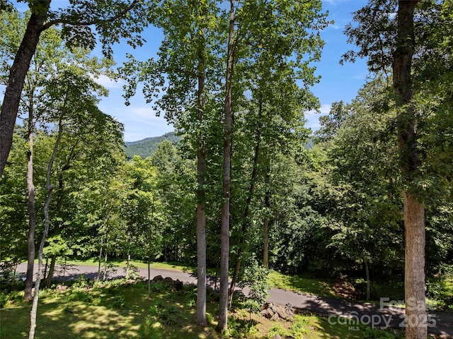 711 Winfield Dr, Clyde, NC 28721 - photo 28