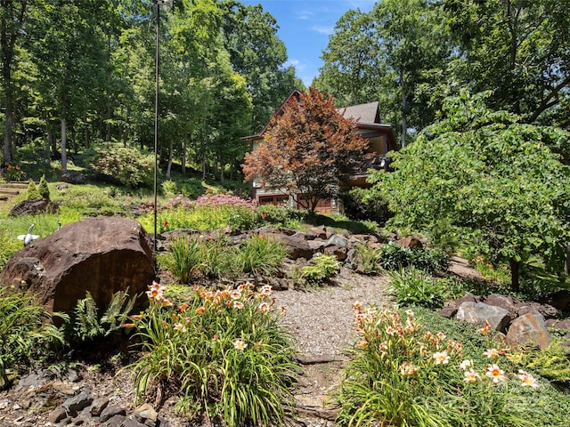 711 Winfield Dr, Clyde, NC 28721 - photo 40