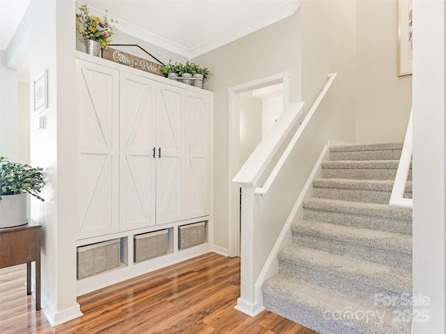 342 Battery Cir, Clover, SC 29710 - staircase with wood finished floors and ornamental molding