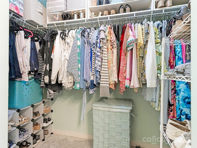 342 Battery Cir, Clover, SC 29710 - spacious closet with carpet flooring