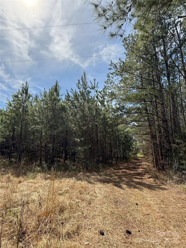 656 Skyline Dr, Chester, SC 29706