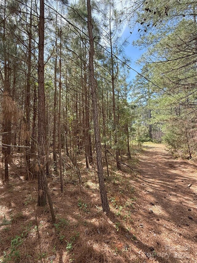 656 Skyline Dr, Chester, SC 29706
