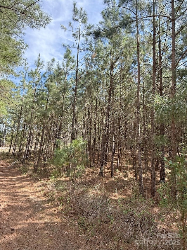 656 Skyline Dr, Chester, SC 29706
