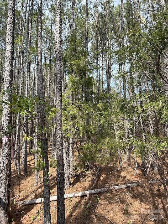 656 Skyline Dr, Chester, SC 29706