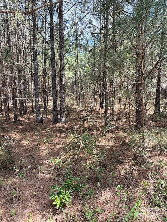 656 Skyline Dr, Chester, SC 29706
