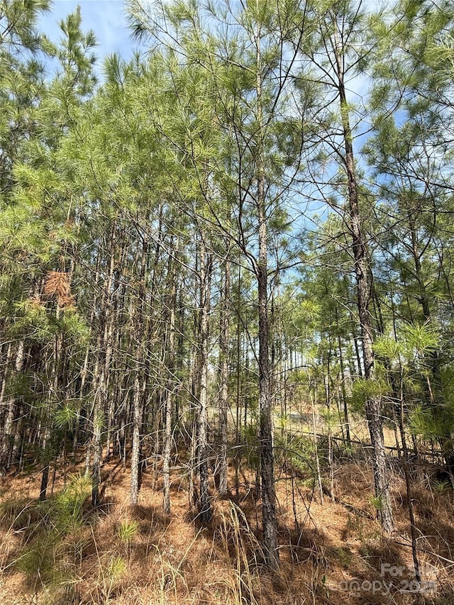 656 Skyline Dr, Chester, SC 29706