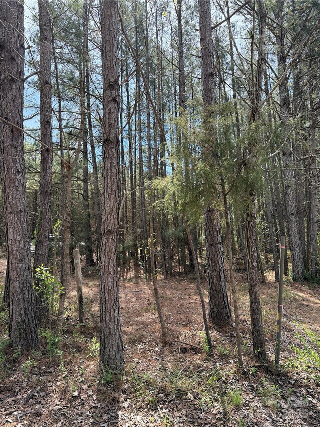 656 Skyline Dr, Chester, SC 29706
