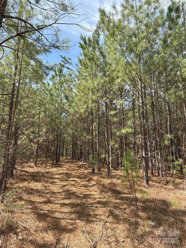 656 Skyline Dr, Chester, SC 29706