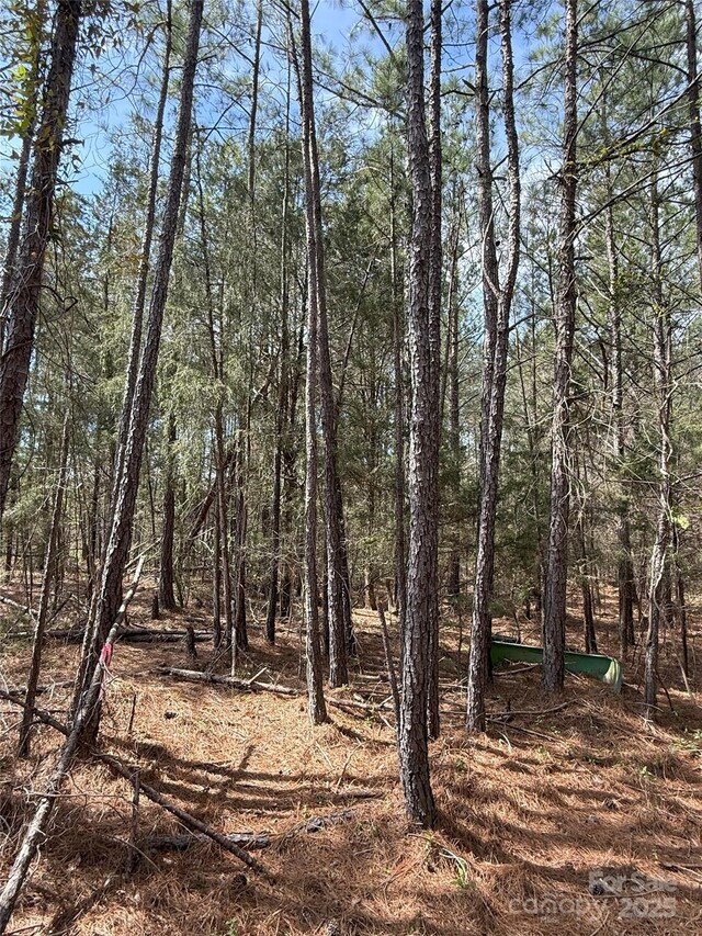 656 Skyline Dr, Chester, SC 29706