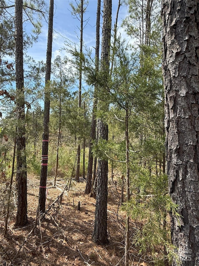 656 Skyline Dr, Chester, SC 29706