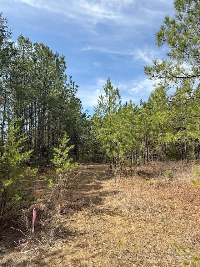 656 Skyline Dr, Chester, SC 29706