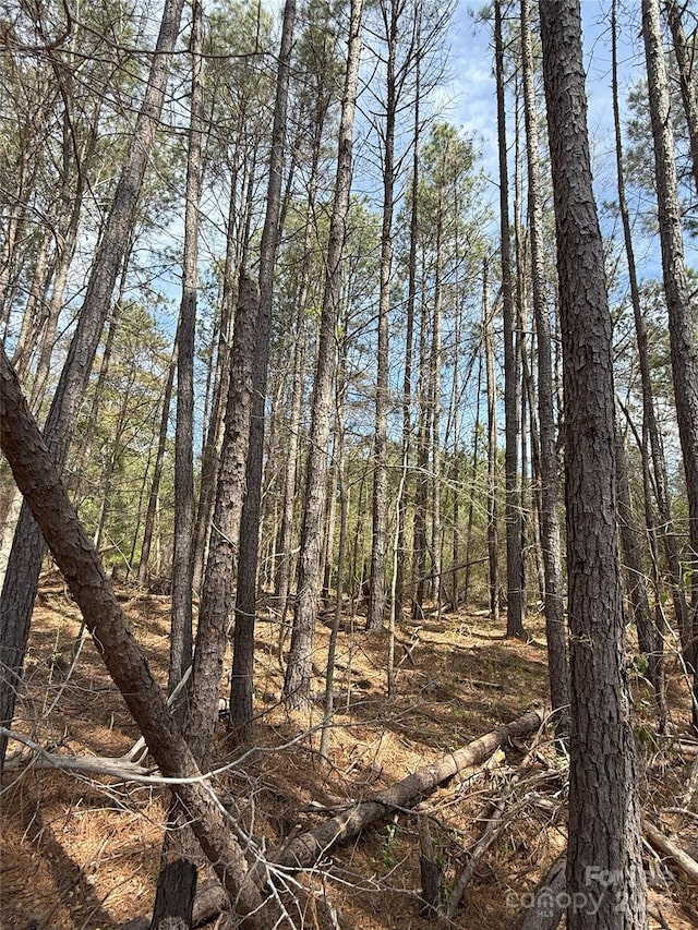 656 Skyline Dr, Chester, SC 29706