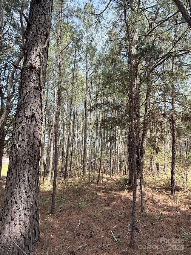 656 Skyline Dr, Chester, SC 29706