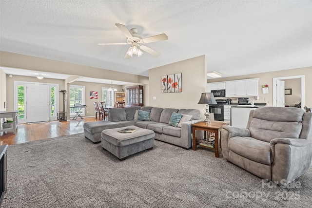 1921 Williford Woods Ln, Rock Hill, SC 29730 - living area with a ceiling fan, light wood finished floors, and a textured ceiling