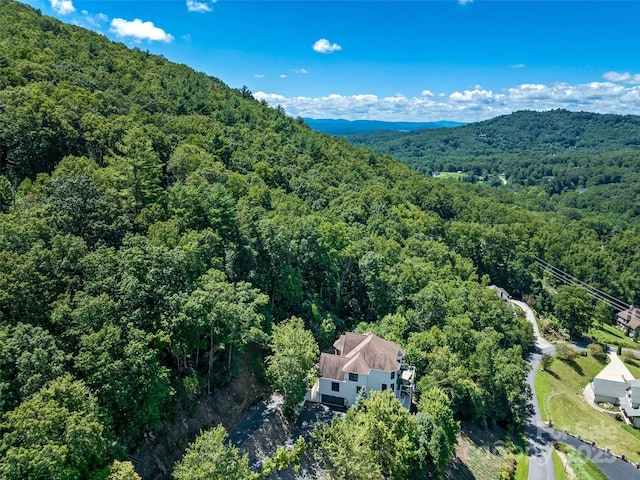 61 Mcintyre Dr, Asheville, NC 28803 - photo 2