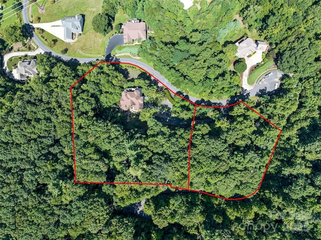 61 Mcintyre Dr, Asheville, NC 28803 - photo 47