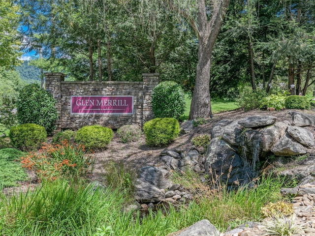 61 Mcintyre Dr, Asheville, NC 28803 - photo 48