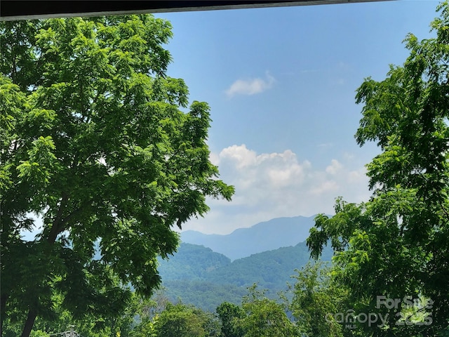 53 Lookout Ln, Waynesville, NC 28785 - photo 4